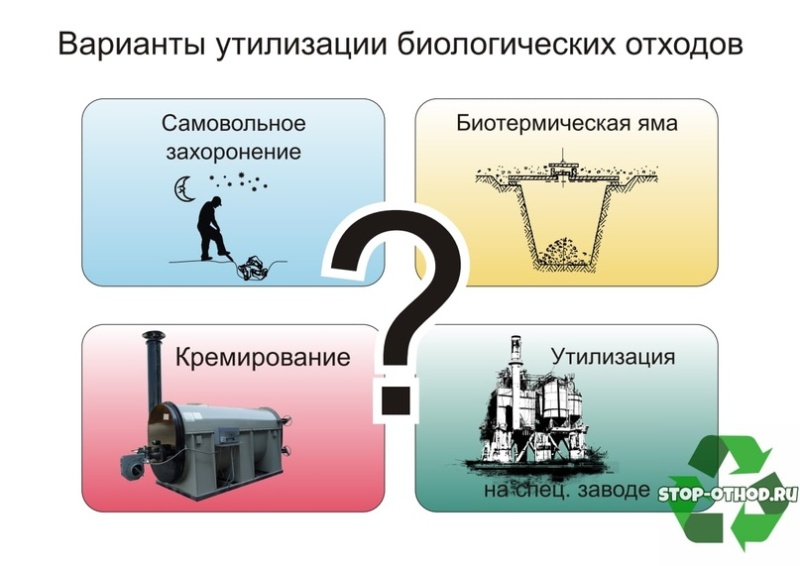 Правильное уничтожение биологических отходов.