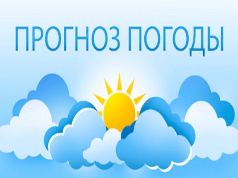 ПРОГНОЗ ПОГОДЫ НА 03.11.2023.