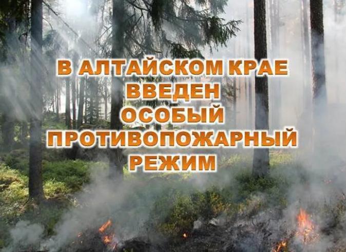 В Алтайском крае с 11.04.2025 установлен особый противопожарный режим.