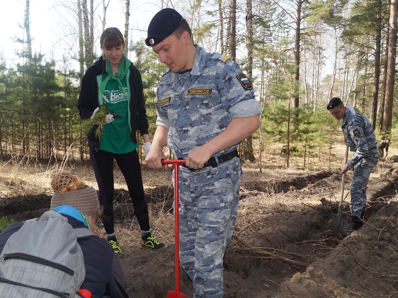 «Сад памяти»: десятки саженцев сосны высадили судебные приставы Алтайского края в рамках экологической акции.