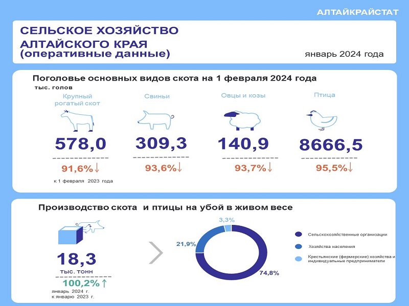 О СЕЛЬСКОМ ХОЗЯЙСТВЕ АЛТАЙСКОГО КРАЯ В ЯНВАРЕ 2024 ГОДА.