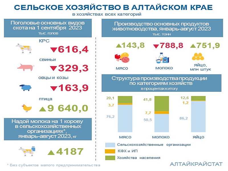 О сельском хозяйстве Алтайского края в январе-августе 2023 года.