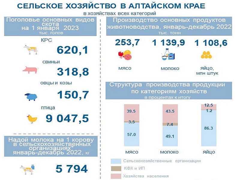 О сельском хозяйстве Алтайского края в январе-декабре 2022 года.