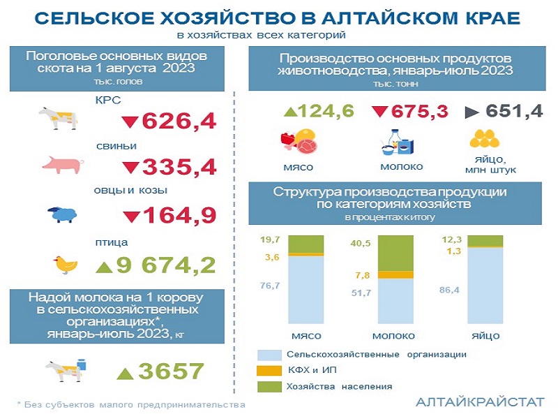 О сельском хозяйстве Алтайского края в январе-июле 2023 года.