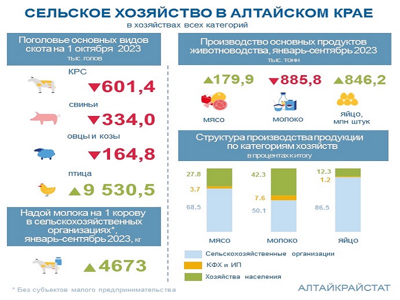 О сельском хозяйстве Алтайского края в январе-сентябре 2023 года.