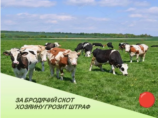 Административная комиссия информирует.