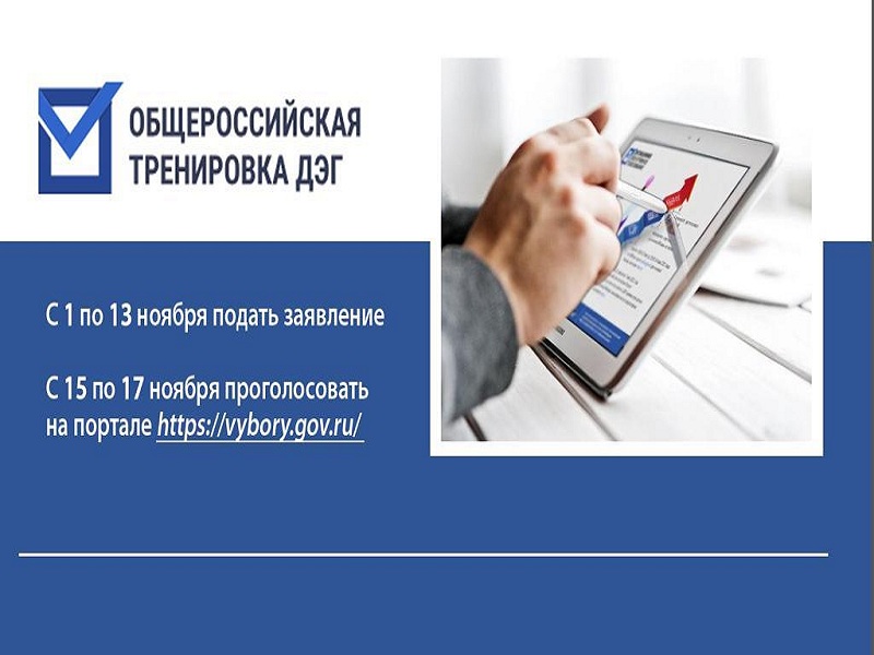 Каждый избиратель Алтайского края может принять участие в общероссийской тренировке дистанционного электронного голосования.