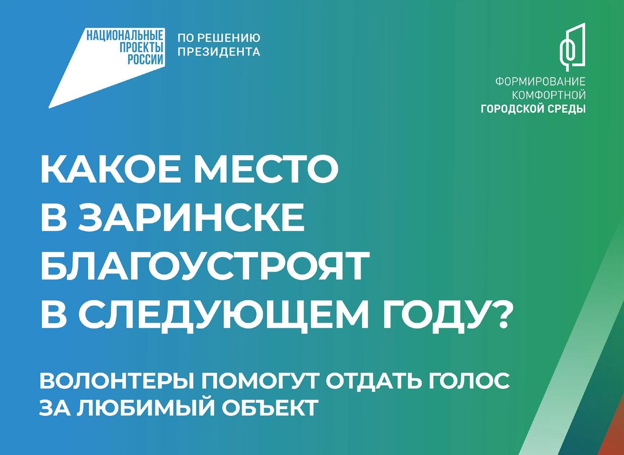 В Заринске продолжается голосование за объекты благоустройства в 2025 году.