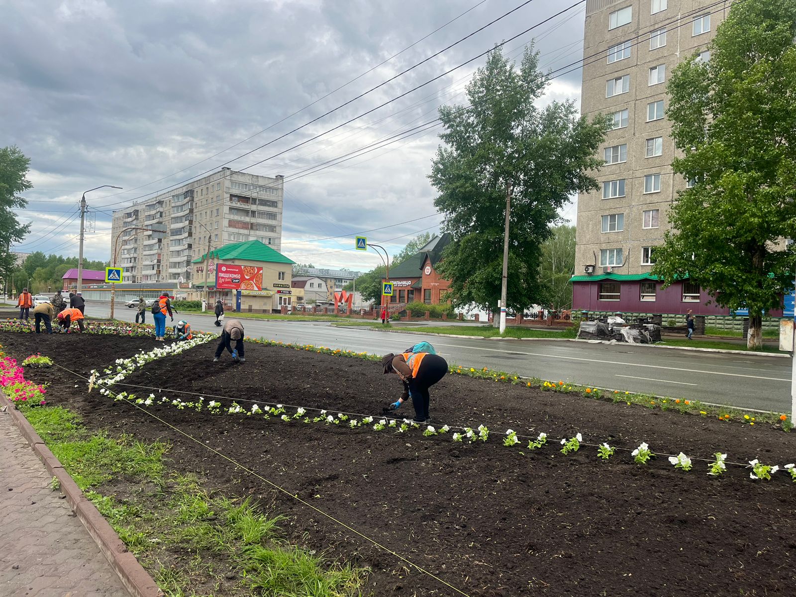 На городских клумбах  высаживают цветы.