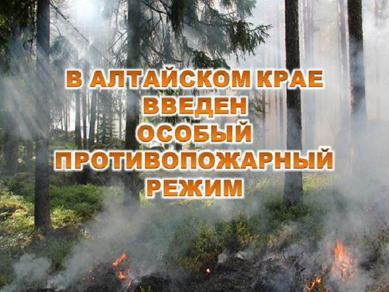 О введении на территории города Заринска режима функционирования «Повышенная готовность».