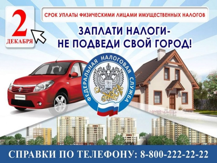 Заплати три налога до 2 декабря!. Заплати три налога до 2 декабря!.