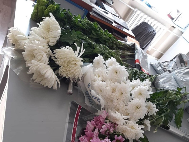 На Алтае в импортных хризантемах выявили опасного карантинного вредителя. На Алтае в импортных хризантемах выявили опасного карантинного вредителя.